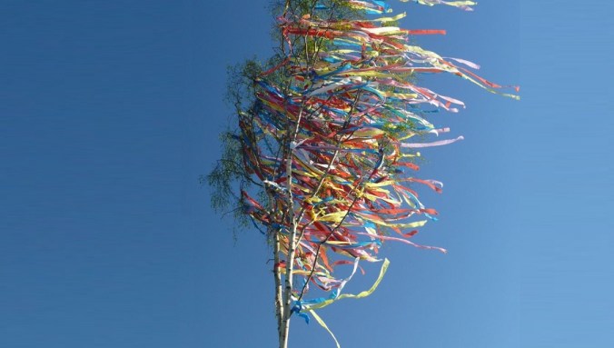 maibaum_900