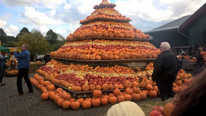 WP_20170917_12_56_30_Pro